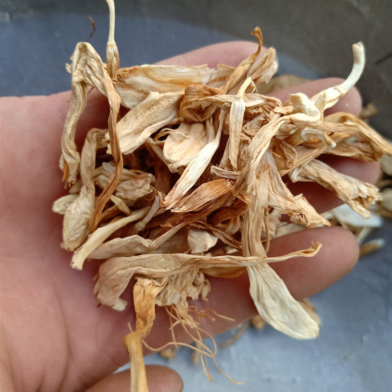 玉簪花玉簪根玉簪花根玉簪花白玉簪花根白鹤花玉泡花玉簪花中药材