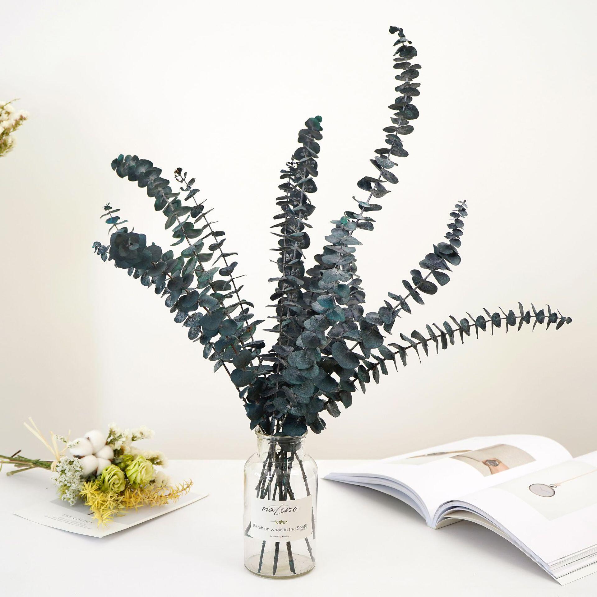 永生花尤加利a级树茎装饰婚礼中心摆花花卉布置农舍家居装饰