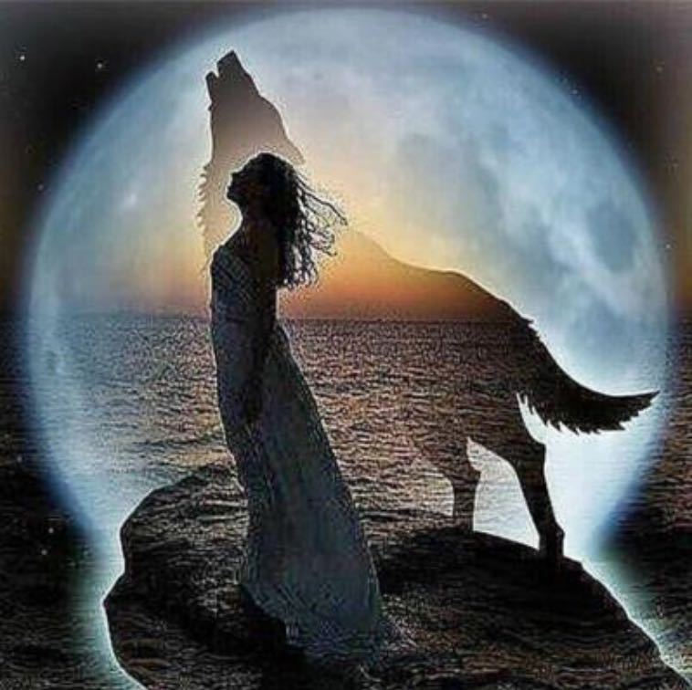 速卖通亚马逊 外贸款钻石画5d满钻 狼 狼人女孩 新款一件