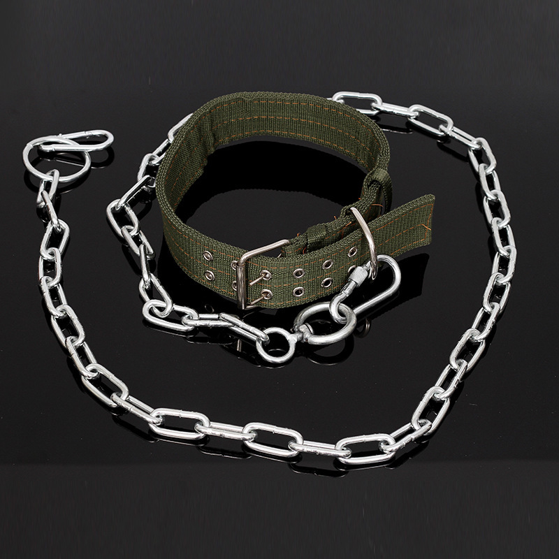 宠物用品拴狗链镀锌宠物狗狗链子铁链带脖圈 长170cm现货批发