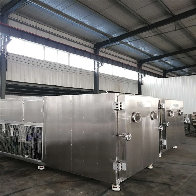 榴莲片真空冻干机 果蔬低温真空冻干机 冻干机厂家利宇