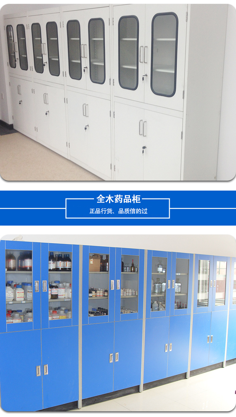 定制药品柜 学校医院化学储藏柜pp通风药品柜实验室试剂柜 酸碱柜