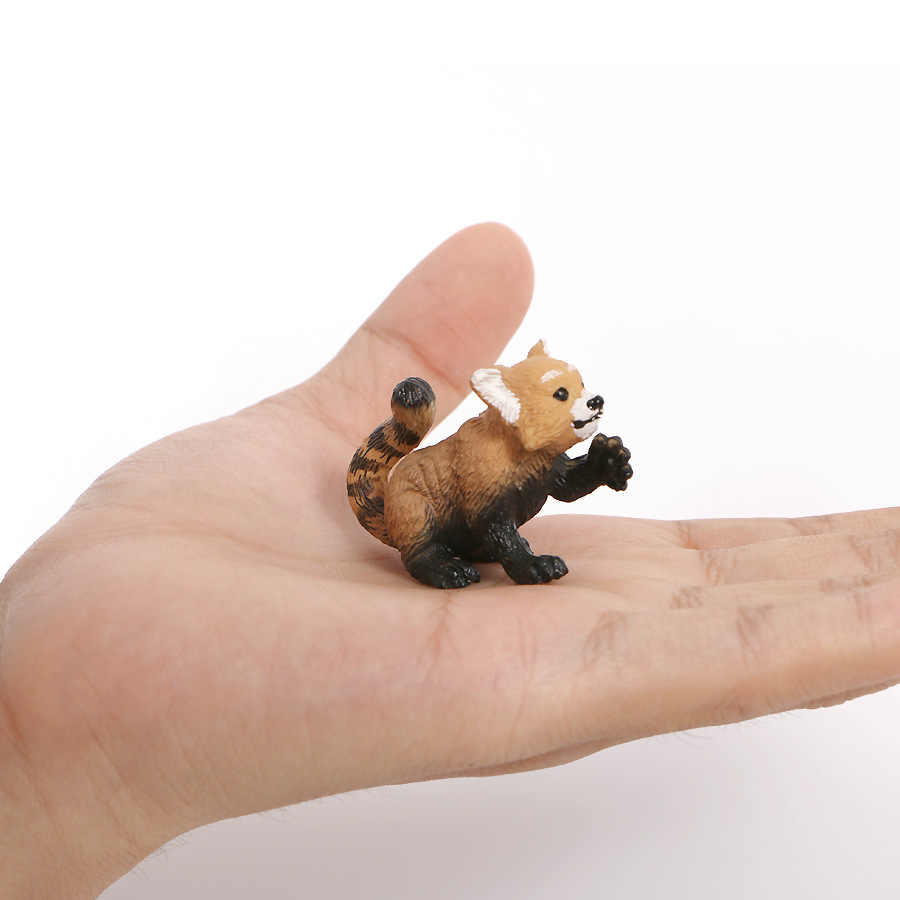 仿真动物模型实心静态小浣熊搪胶手办套装摆件5形态家庭摆饰