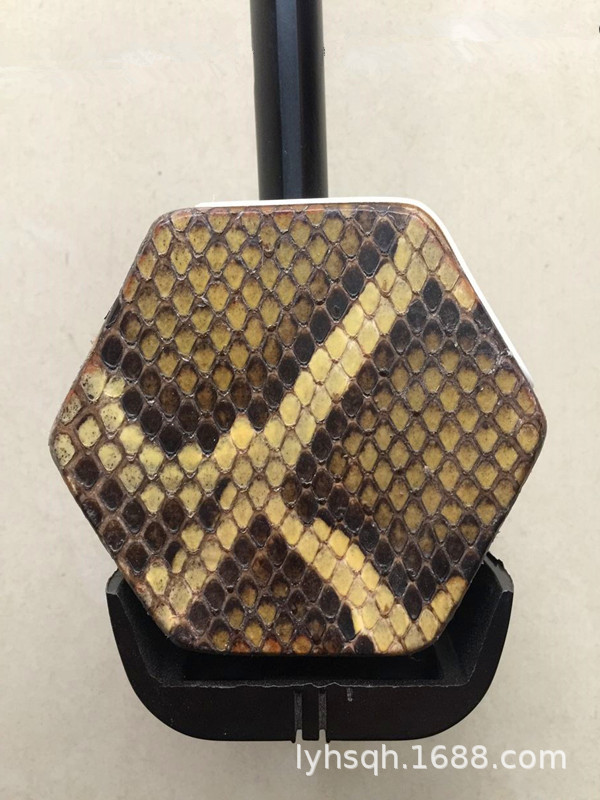 普及二胡初学二胡小花蟒皮二胡