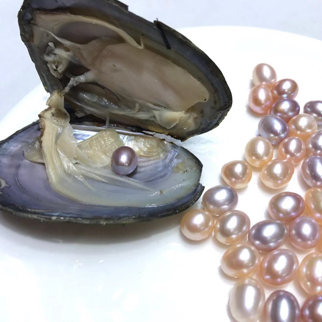 珍珠河蚌_珍珠小河蚌 真空包装一蚌一珠 出口速卖通 淘宝直播