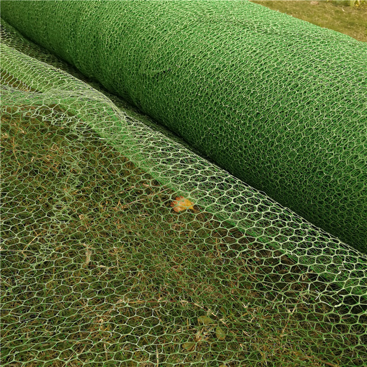 三维植被网土工网护坡固土绿色网垫屋顶遮阳坡面植草护坡加筋现货
