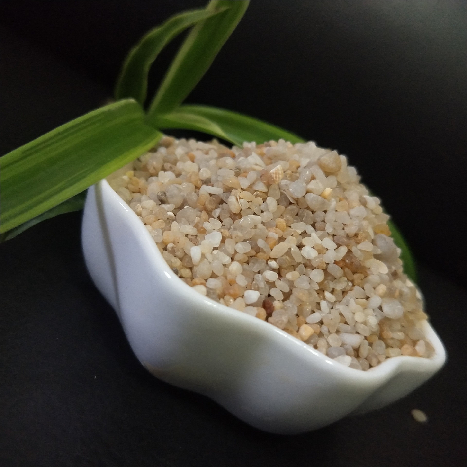 供应游泳池海砂 免淘洗海沙装饰用海砂 圆粒砂油田支撑压裂砂