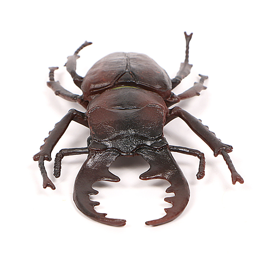 实心仿真昆虫动物世界摆设沙盘场景儿童科教认知动物世界模型玩具