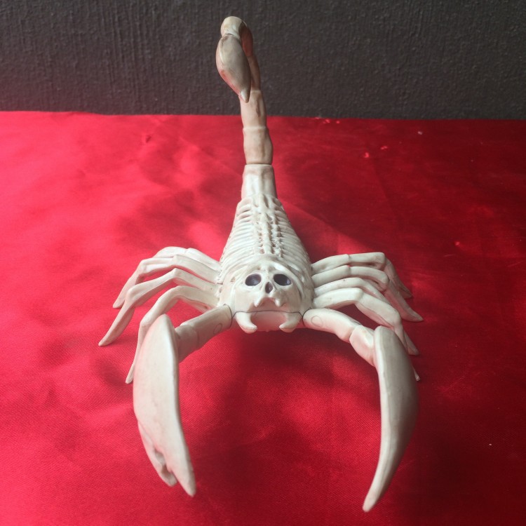 批发万圣节整蛊装饰场地布置道具骷髅蝎子骨架动物骨架厂家供应