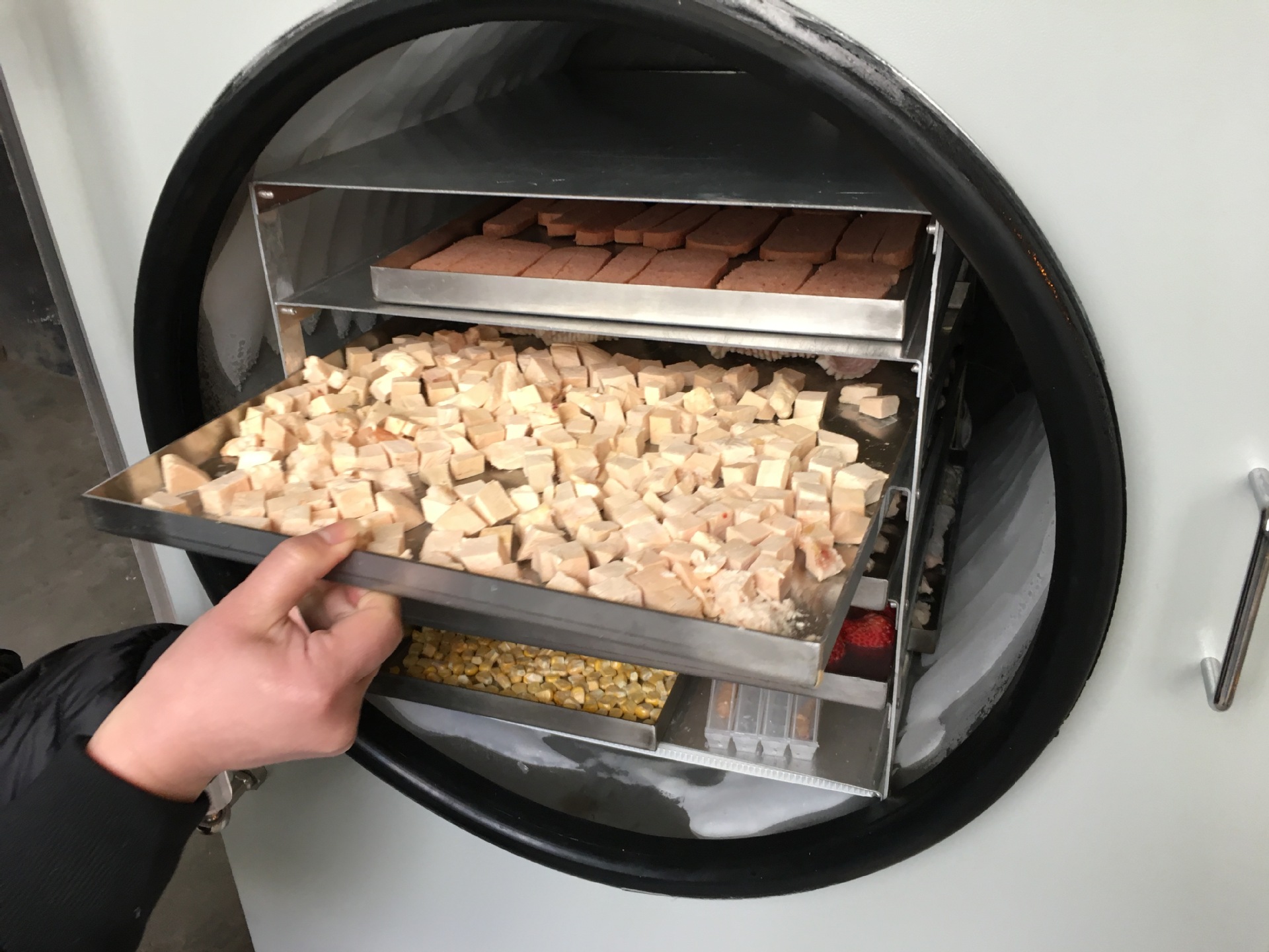 小型宠物食品冻干机 猫狗粮宠物冻干肉设备 鸡胸肉真空冷冻干燥机