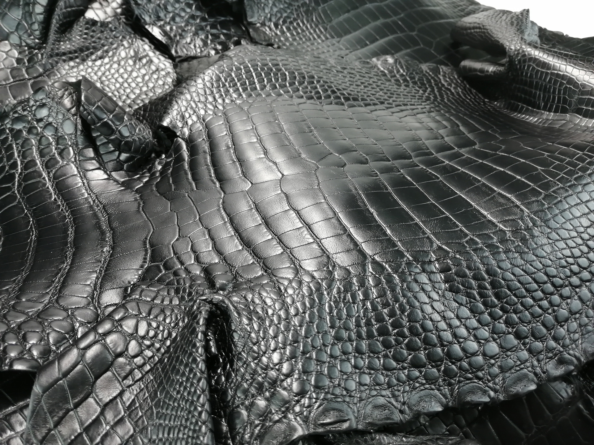 【与龙共舞】鳄鱼皮料特价美洲进口鳄鱼肚皮皮料真皮整张现货25cm