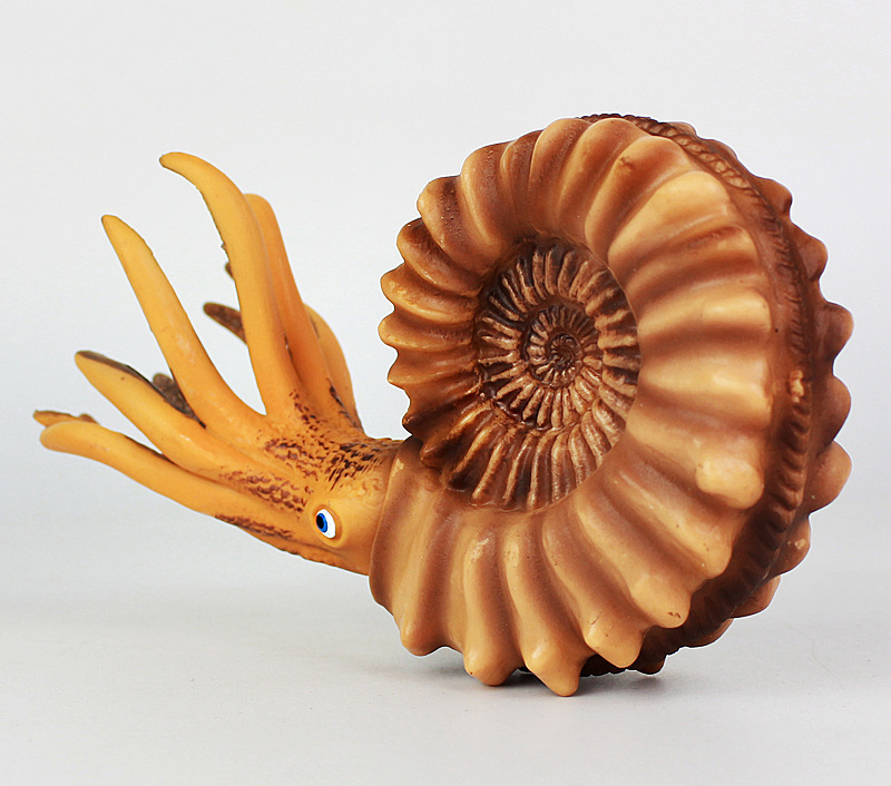 新款仿真鹦鹉螺模型海洋软体生物动物模型塑胶儿童玩具男女孩摆件