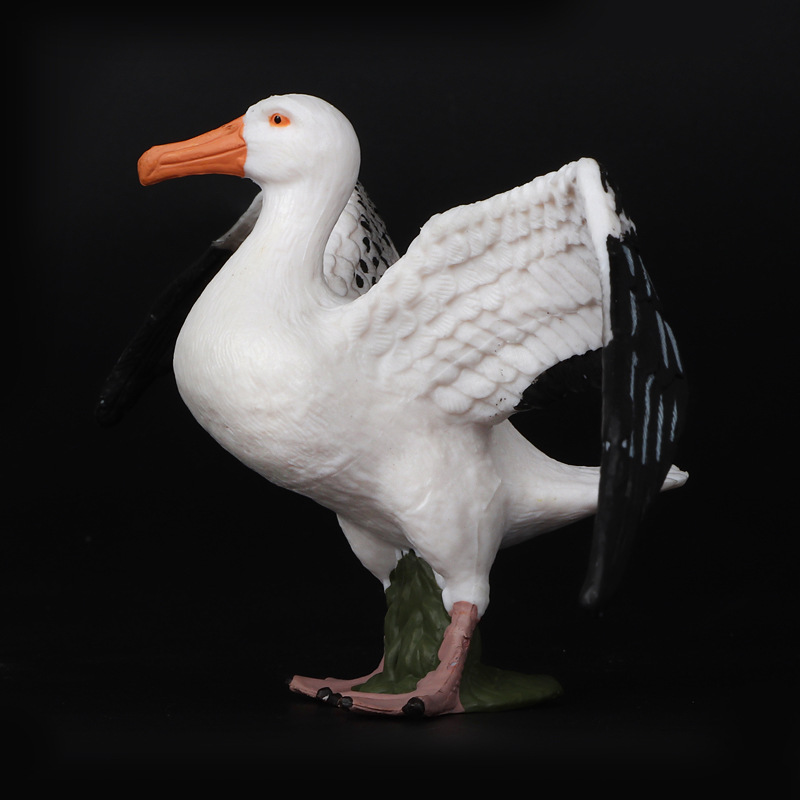 新品仿真动物模型 鸟类 信天翁大型海鸟塑料实心儿童认知科教摆件