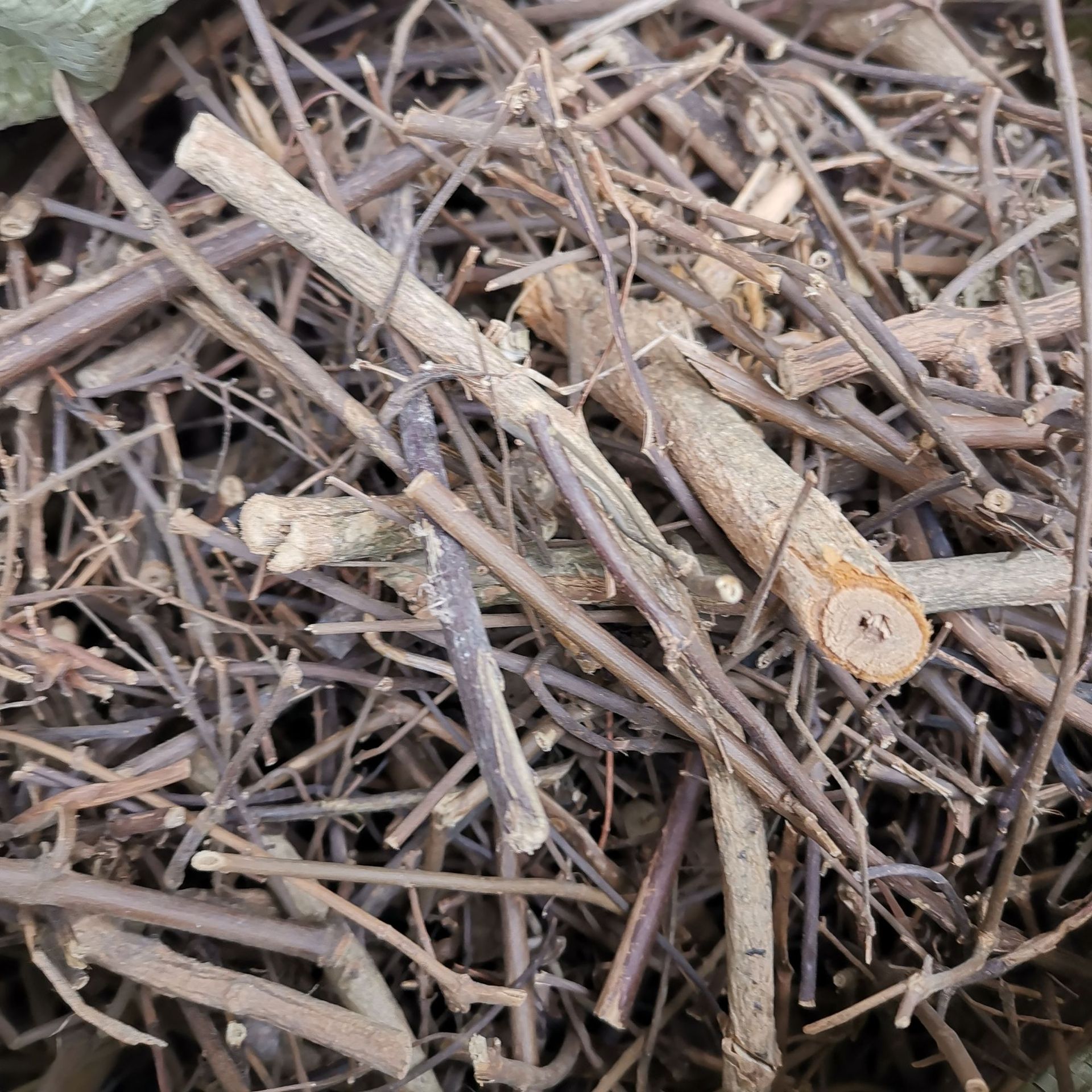 中药材 扭肚藤 猪肚勒 白花茶 青藤仔花 量大从优