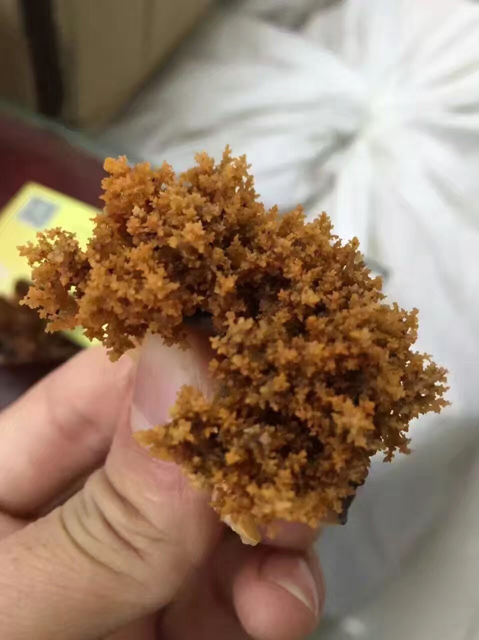 加拿大海参花,海参头批发,带肉海参花,野生纯淡干海参500g批发