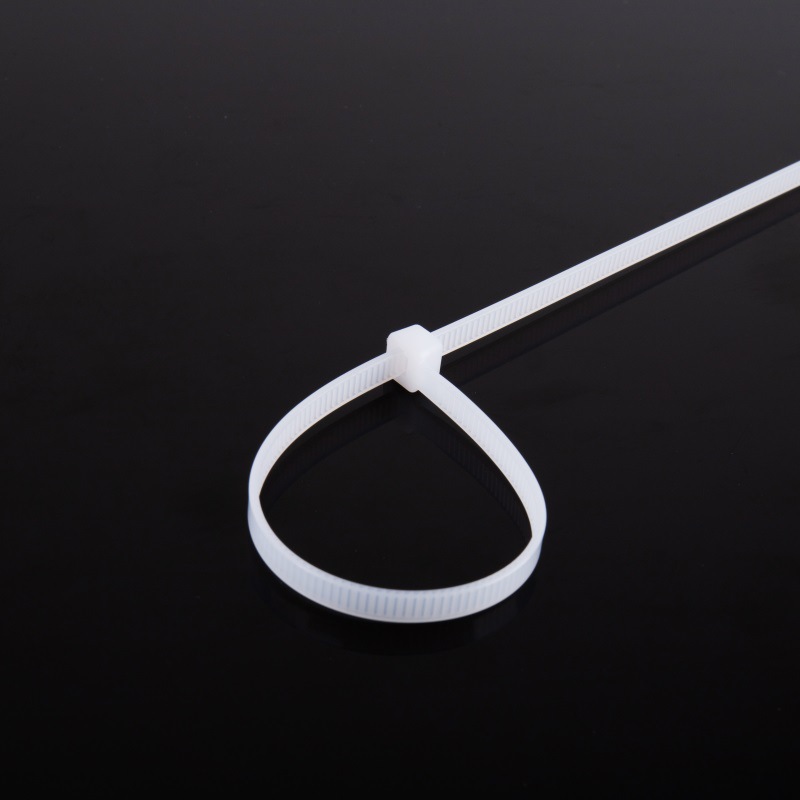 厂家小包尼龙扎带自锁式扎线带白色透明绳索品质保障量大从优
