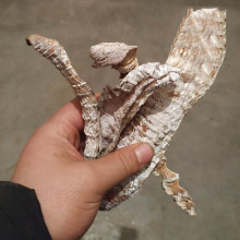 diy编织竹条竹片婚庆造型竹篾条软竹条竹篾丝竹篾子片