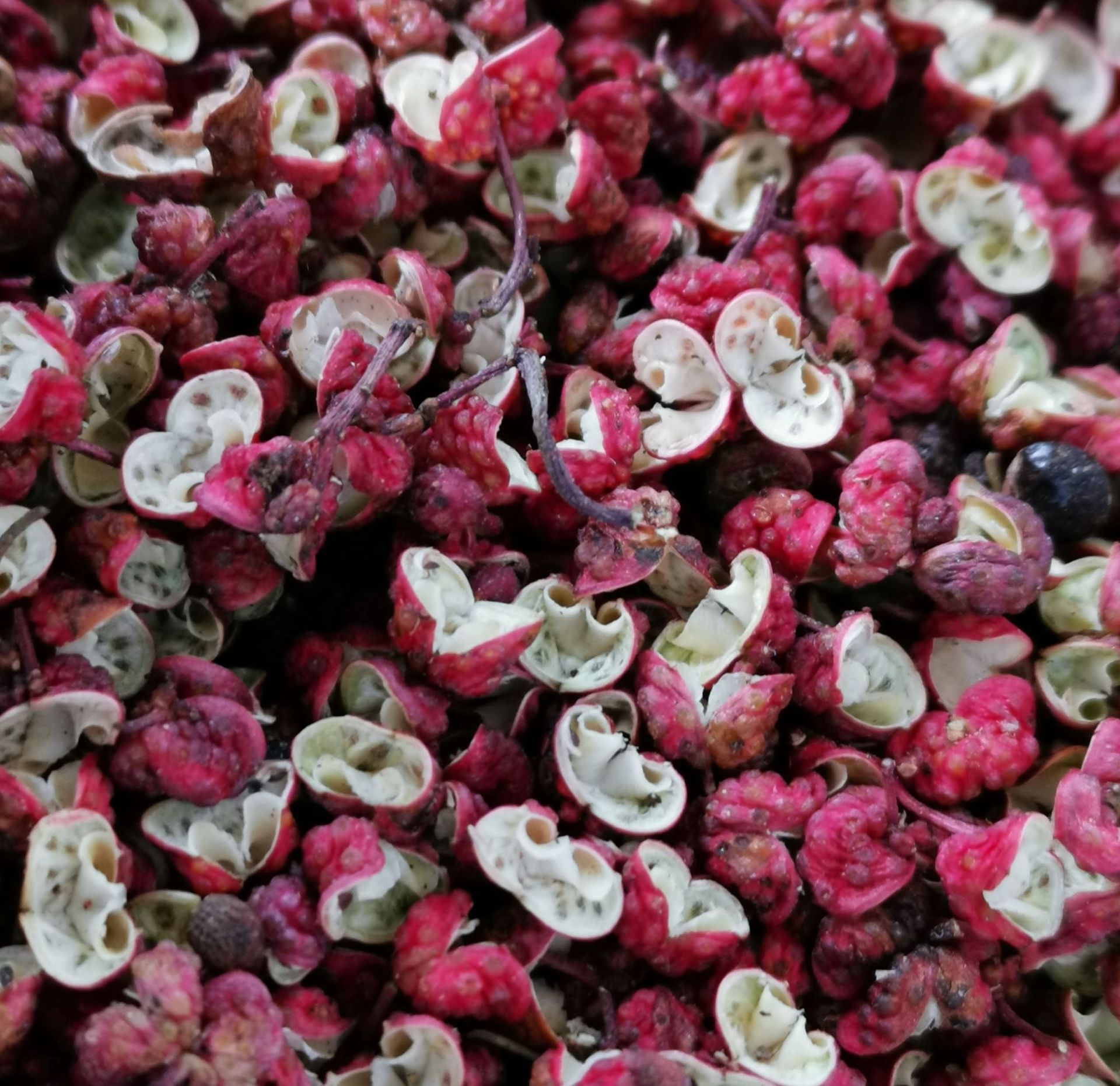 花椒 武都花椒 麻椒 伏椒 蜀椒净货 130克罐装160克罐装250克盒装