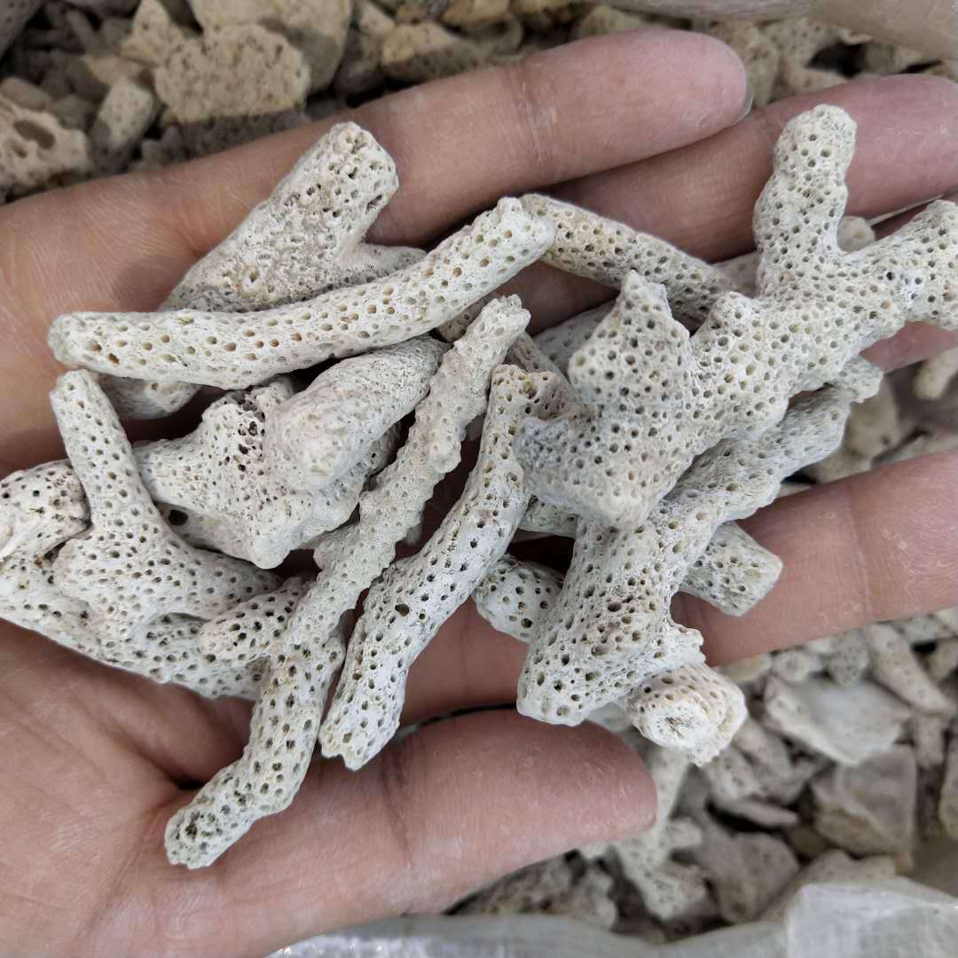 供应珊瑚沙 珊瑚石 底砂碎 珊瑚砂 鱼缸滤材 珊瑚骨