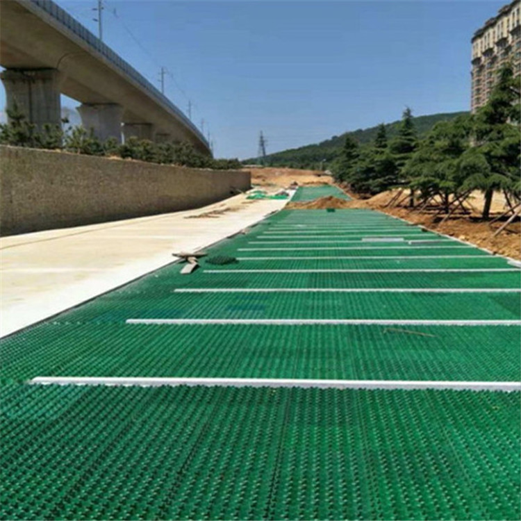 生态停车场植草格生活社区绿化树木保护草坪格家用小车停车位板材