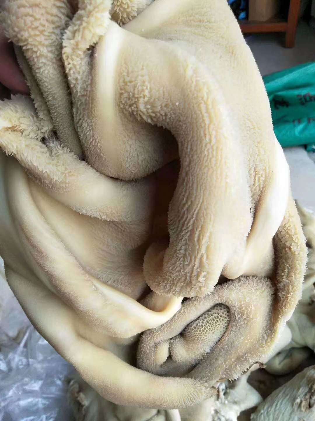 成都直发熟牛杂熟牛肚牛大肚 熟冻牛肚 牛杂牛内脏20斤/件起批