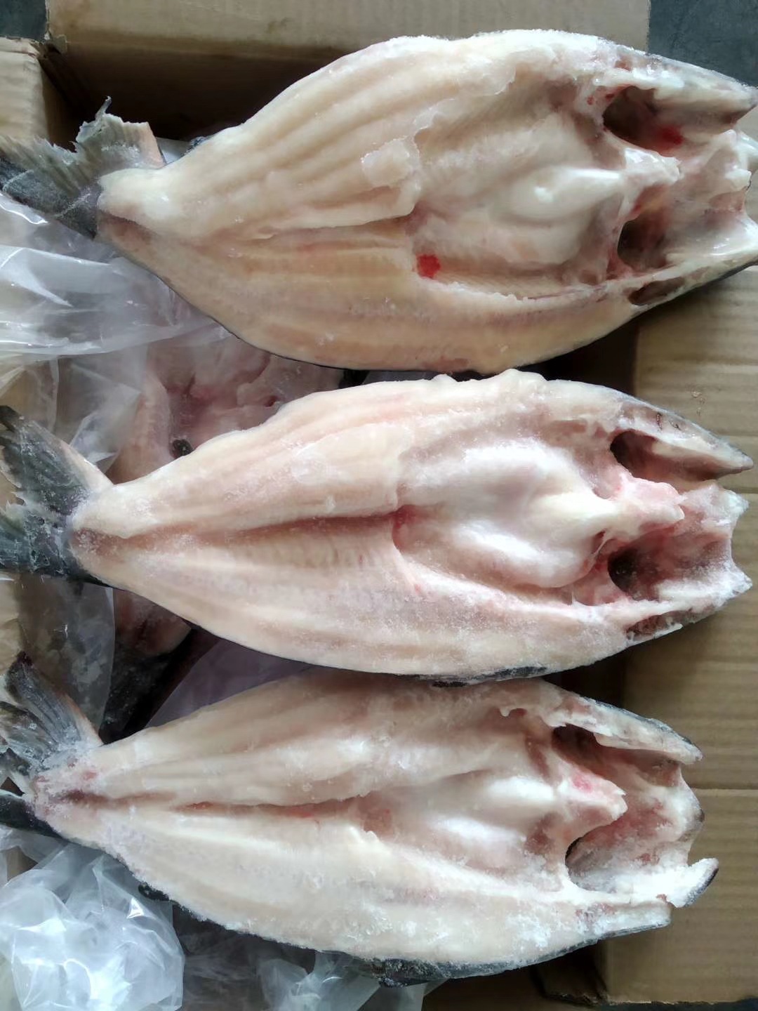 活冻湄公鱼 开背巴沙鱼 开背清江回鱼 开背鲈鱼 产地直供批发