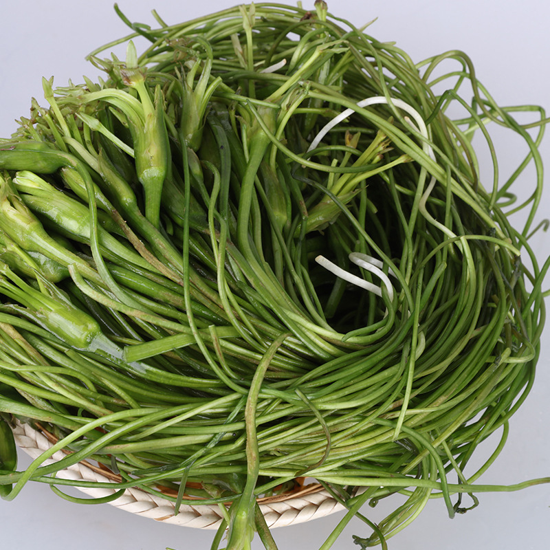 云南大理特产 洱海海菜 非海带 水性杨花海白菜1千克批发特色蔬菜