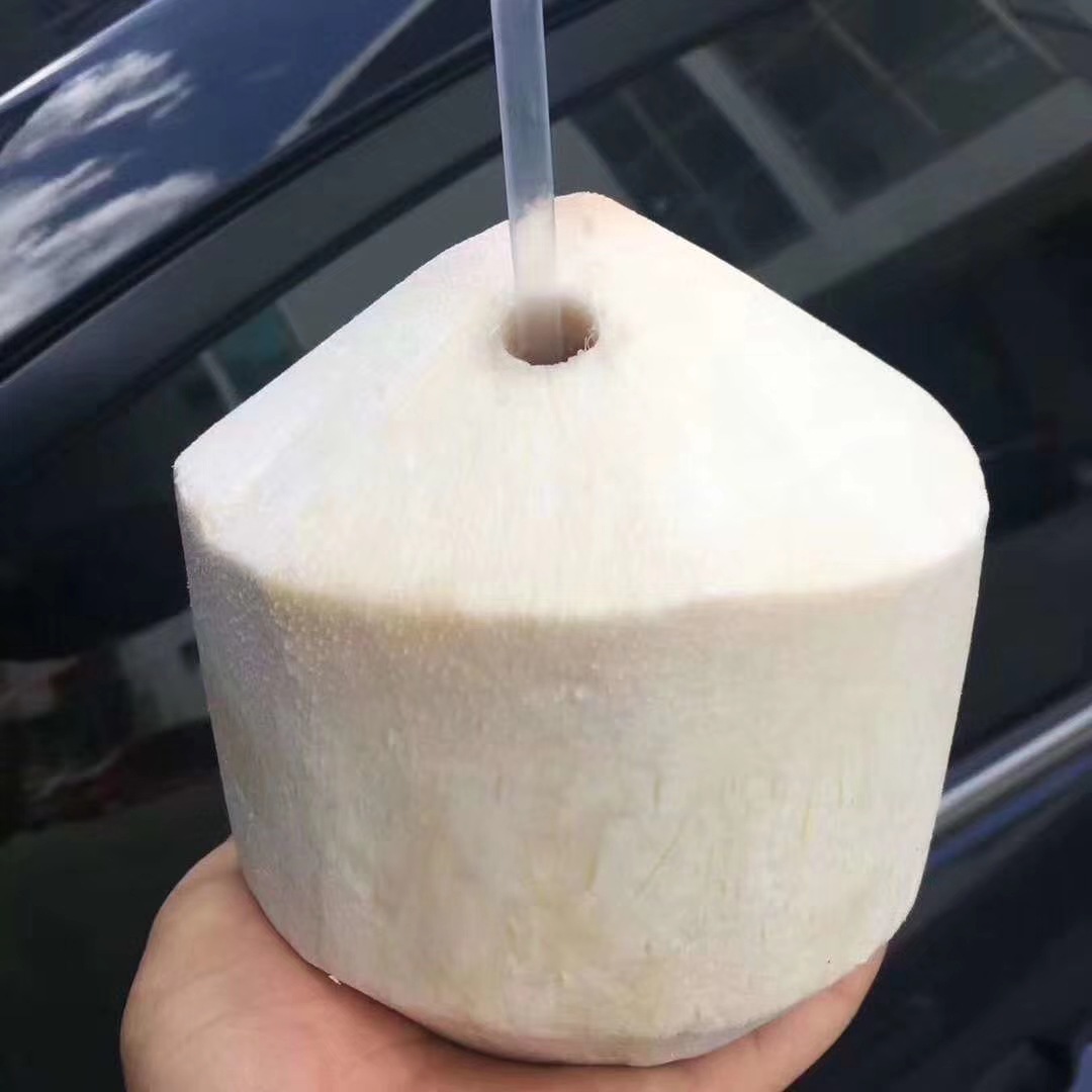 海南文昌椰青 新鲜椰汁果肉做椰子鸡 一件代发