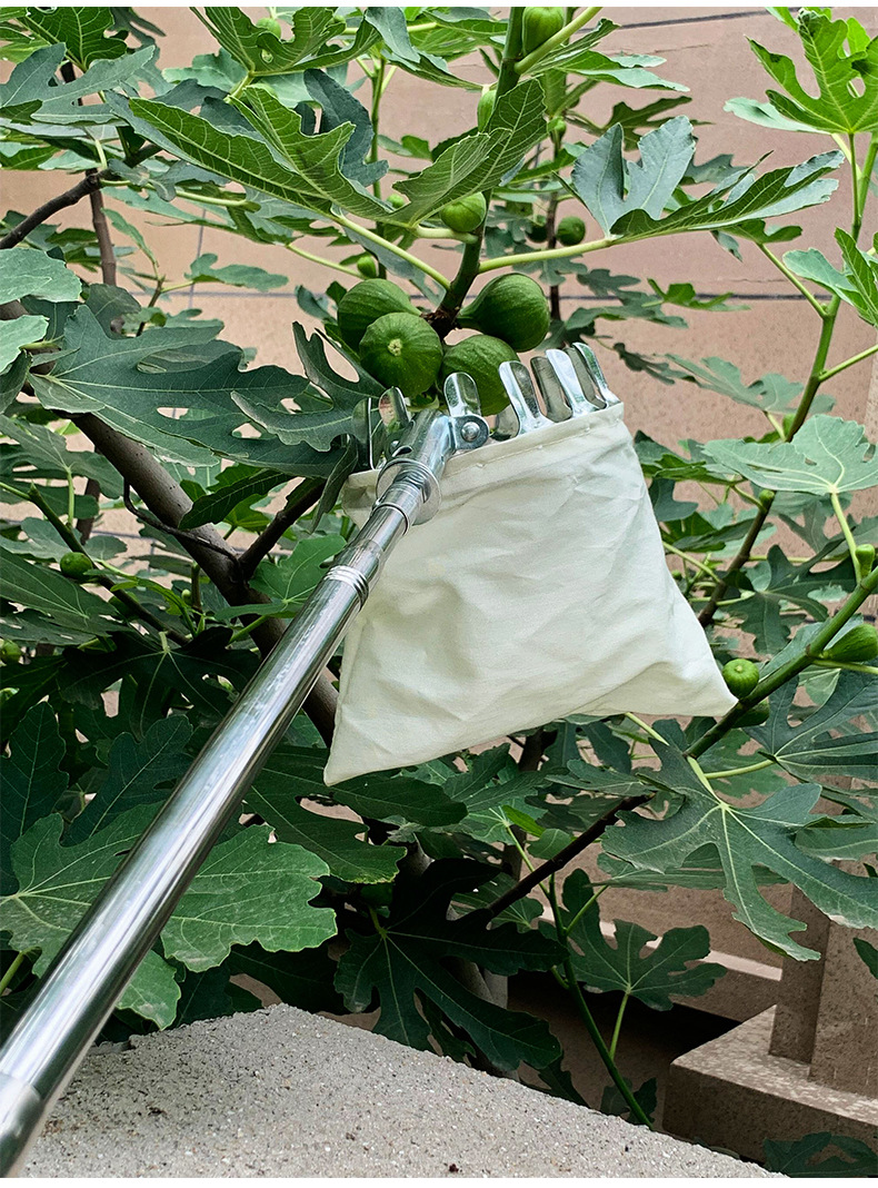 摘果神器 桃子李子杨梅水果摘果器 多功能伸缩高空摘果器摘果工具