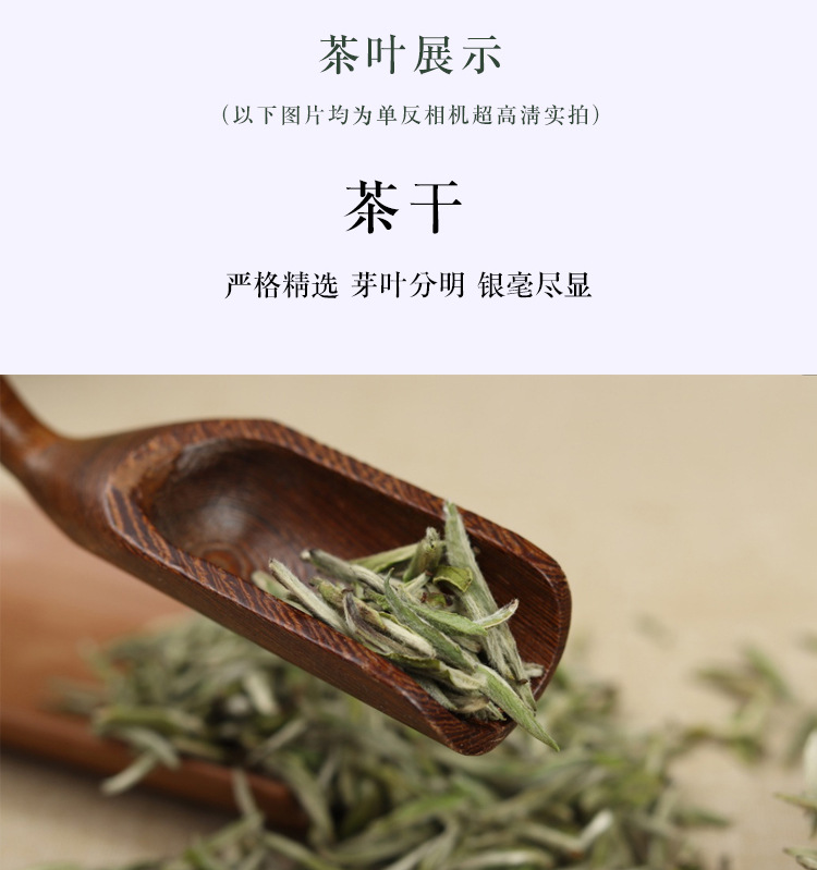 福鼎白茶2022年头春明前头采荒野白毫银针散茶散装250克特级 预售