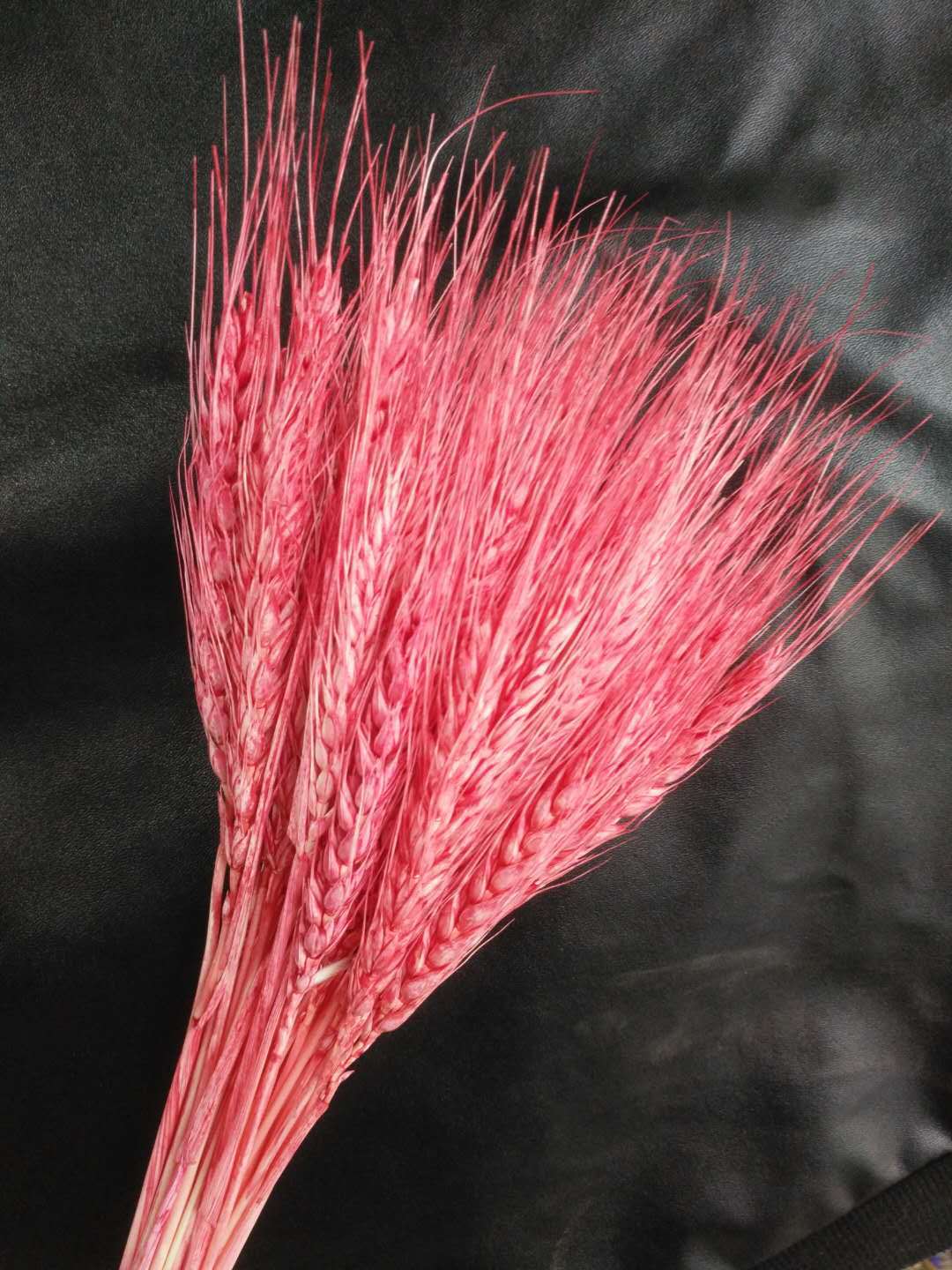 【小麦 】艺术麦穗 麦子干花 大麦 天然植物干花