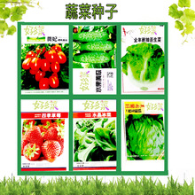 蔬菜种子四季播种家庭阳台水培种菜  草莓冰菜黄瓜番茄生菜种籽