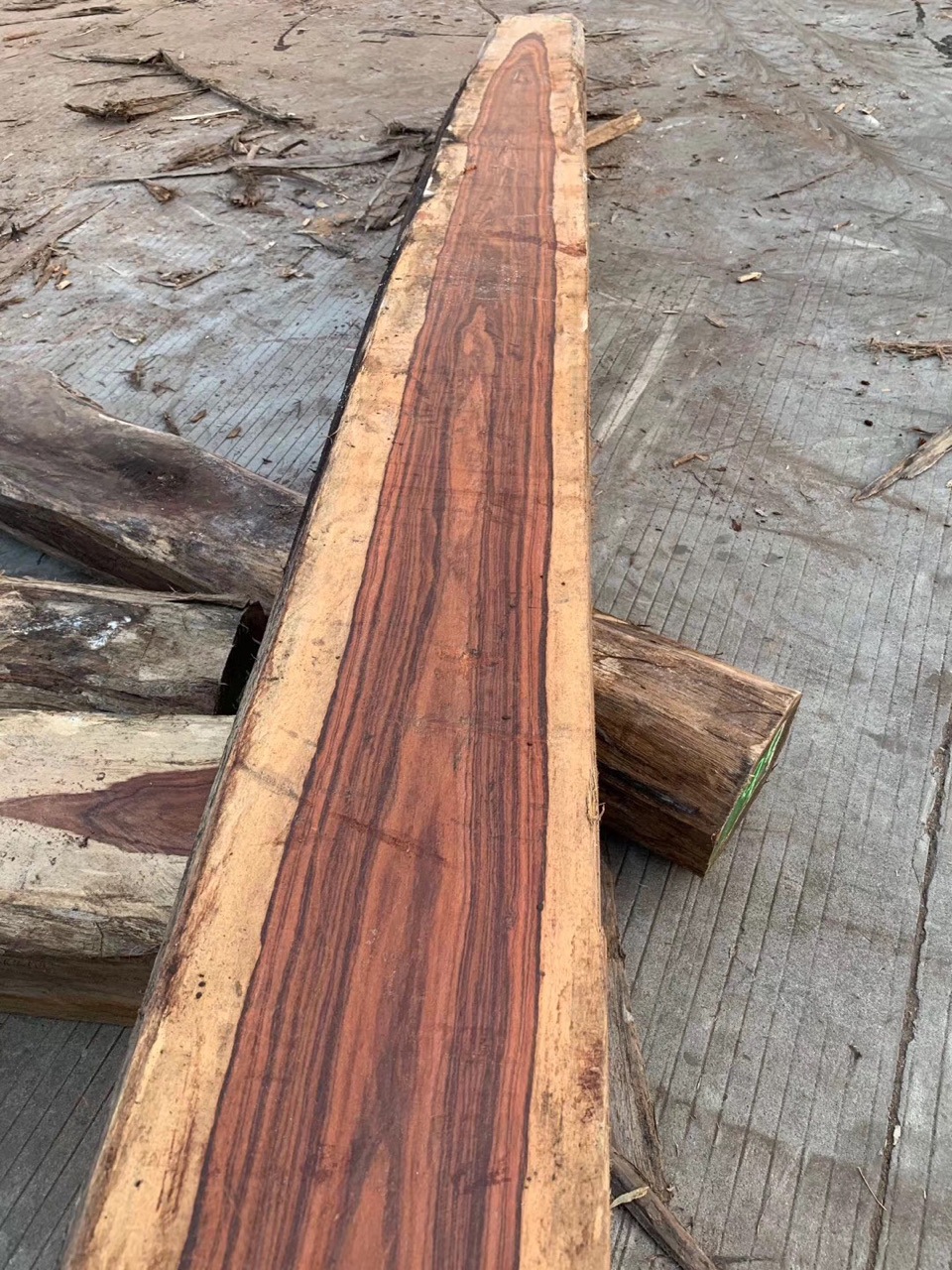 现货供应墨西哥黑酸枝木 红黑白酸枝原木 加工家具工艺品木制品材