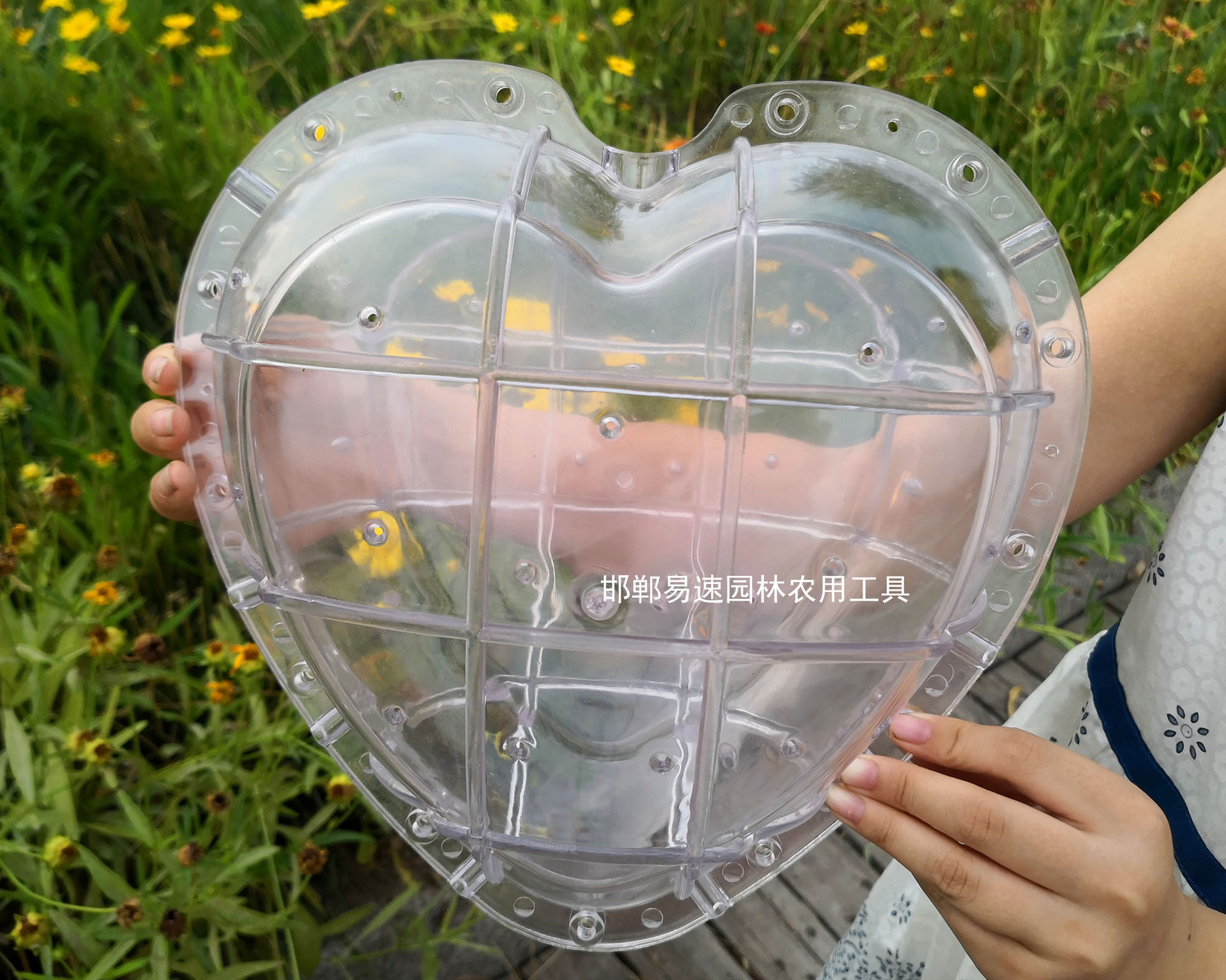 其它形状水果模具点击下图选购 西瓜定型生长模具点击下面选购