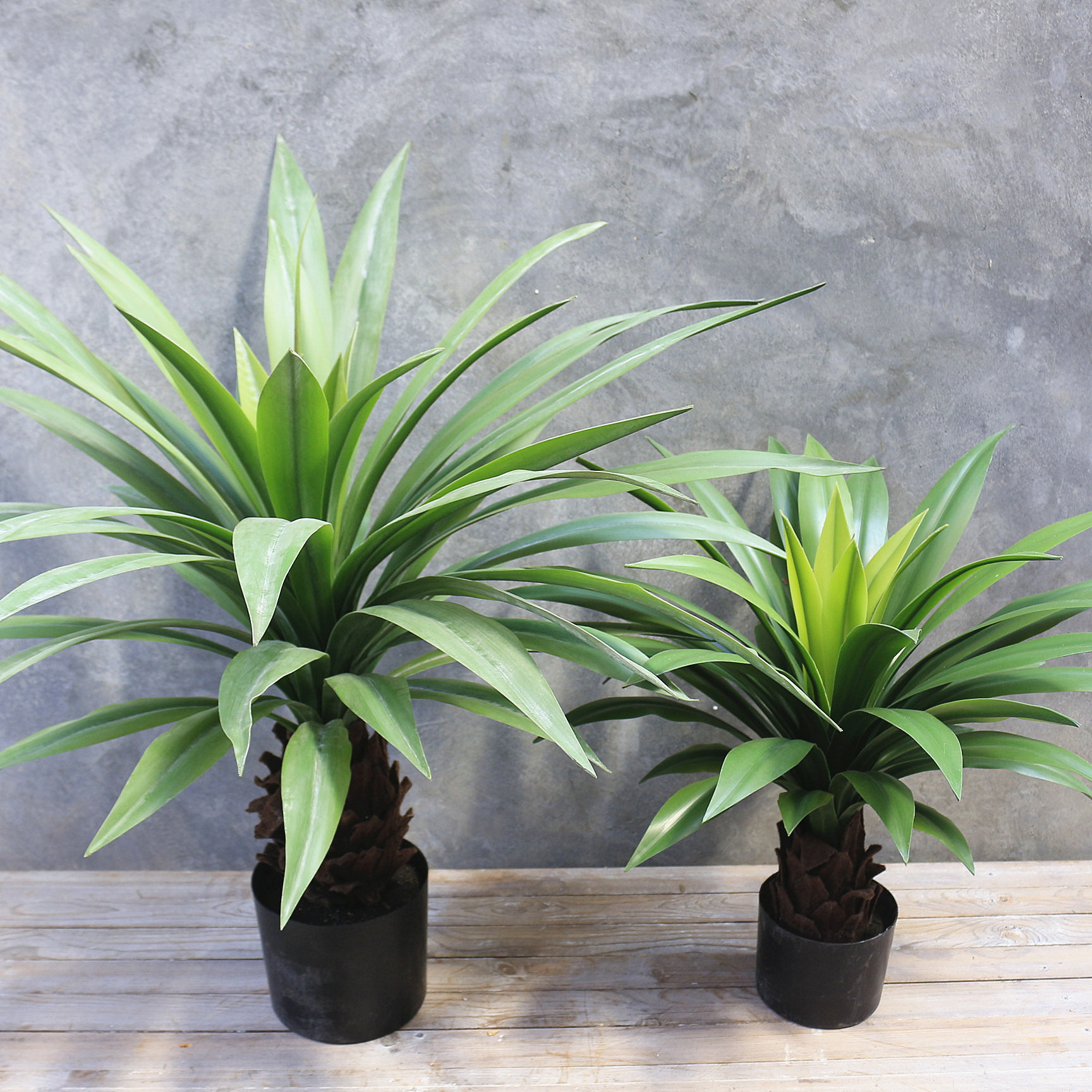 高仿真巴西铁盆栽 白边吊兰绿植软胶盆景 家居装饰仿真植物批发