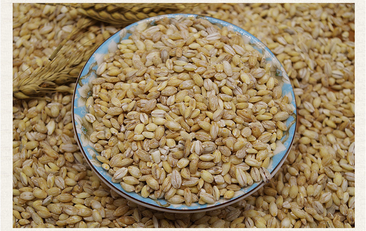 高原特产白青稞仁青稞米去皮青稞500g部分地区5斤包邮