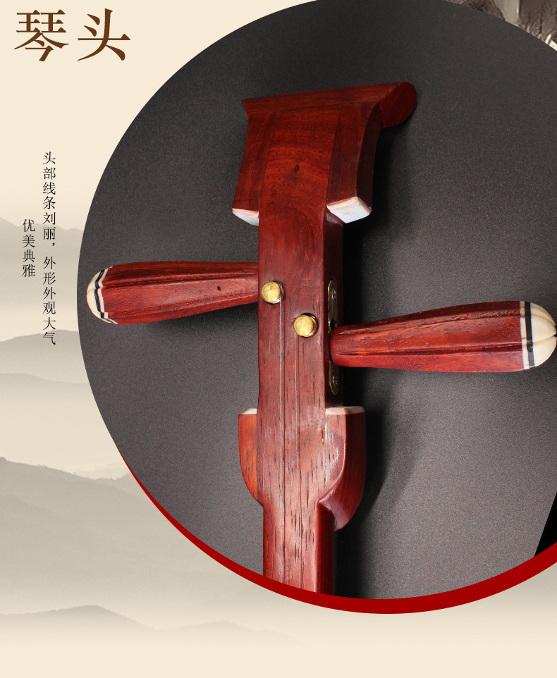 花梨木坠琴 专业戏曲演奏表演剧团用坠胡 送琴盒弦弓配件苏州乐器