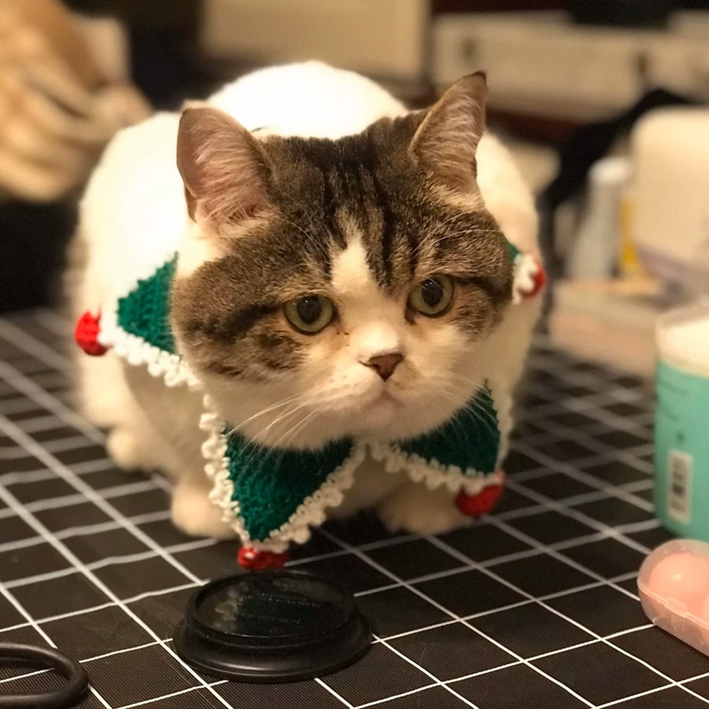 猫咪围嘴围兜猫围脖饰品手工编织项圈针狗狗通用英短布偶圣诞装饰