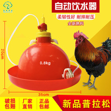 禽用自动饮水器 鸡鸭鹅畜禽养殖饮水器  普拉松鸡自动饮水器