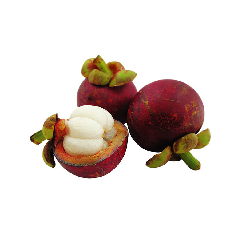 山竹提取物 α-倒捻子素90% mangostin cas#6147-11-1 现货包邮