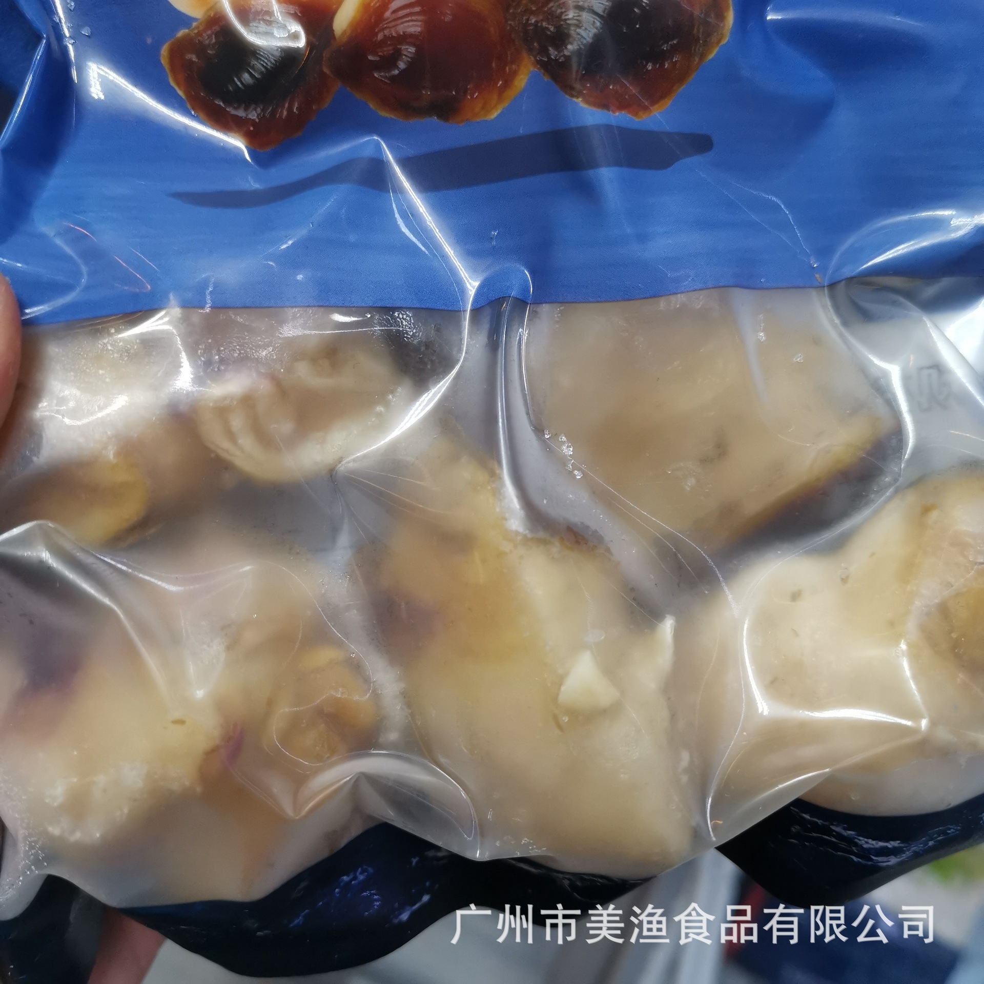 大西洋响螺 美国螺头 海鲜 冻品千手螺田螺海螺肉7-9规格 500g/包