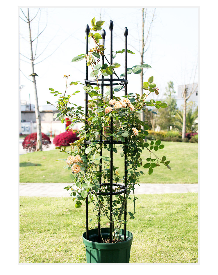 阳台花架庭院花架爬藤架丝瓜架月季玫瑰花架铁线莲爬藤铁艺花支柱