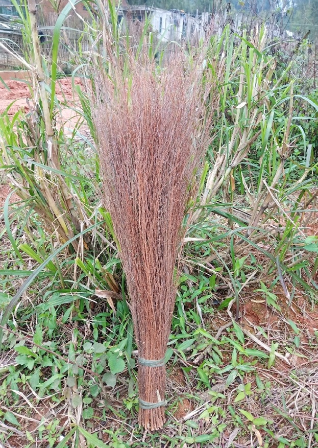 厂家直销传统手艺扫把山地扫把户外扫把居家酒店扫地神器长柄扫把