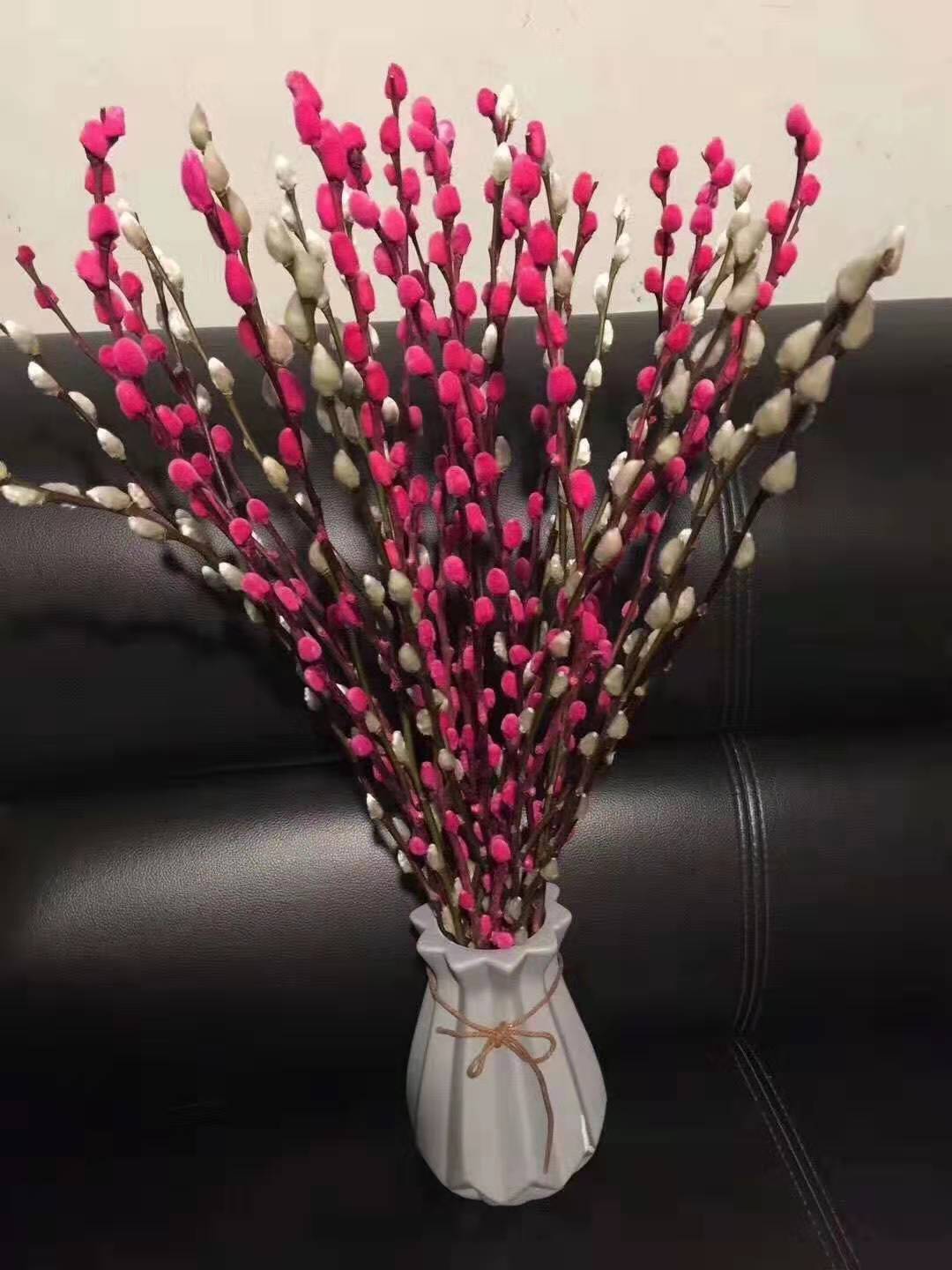 跑江湖地摊办公室装饰插花染色真花装饰柳条 七彩柳鲜花产地直销