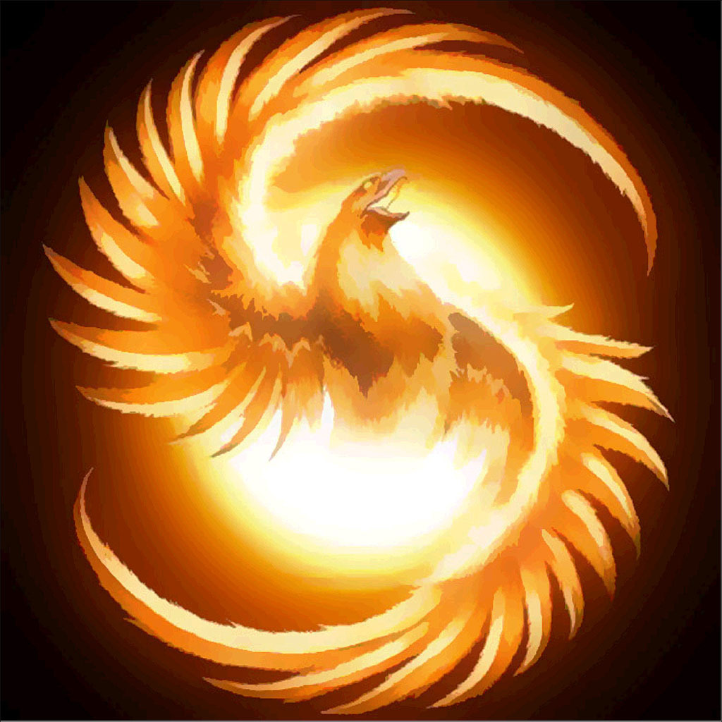 diy钻石画满钻 新款浴火凤凰 钻石绣 家居挂画外贸跨境爆款