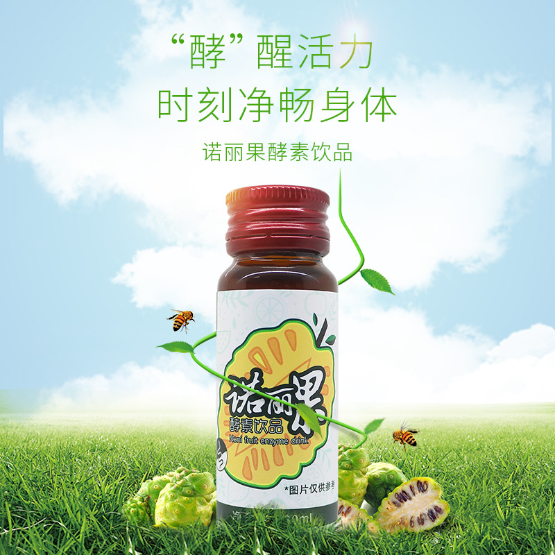 诺丽果酵素饮品果汁 酵素梅促排净肠身体水果果蔬酵素原液口服液