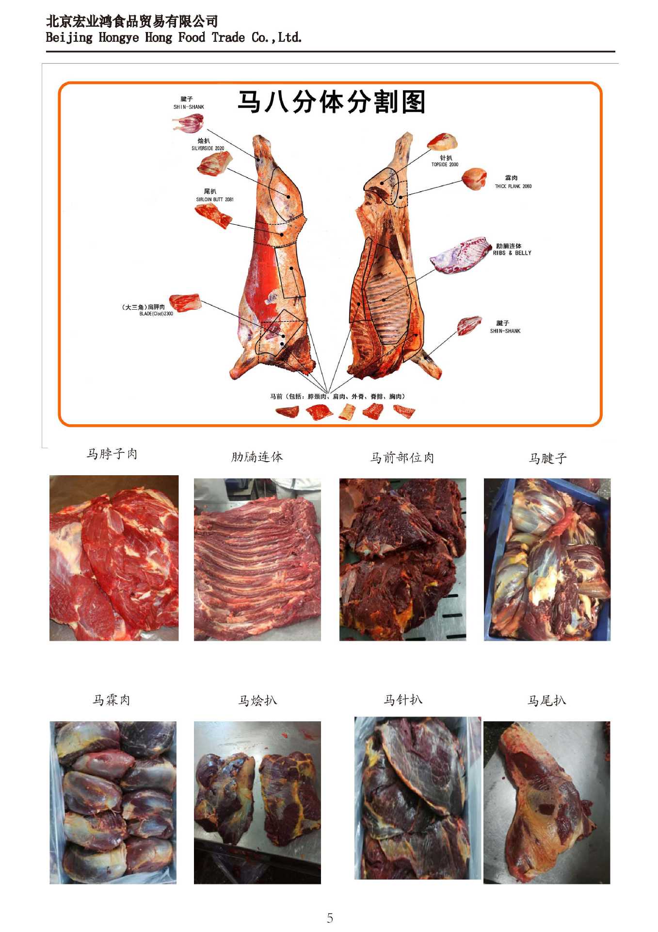 马腿肉:精选3-7岁健康草原马前后腿,中国工人剔骨分割,分割部位清晰