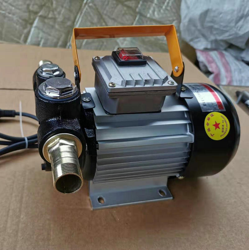 电动吸油泵 24v直流真空吸油泵 12v电动抽油泵220v柴油泵