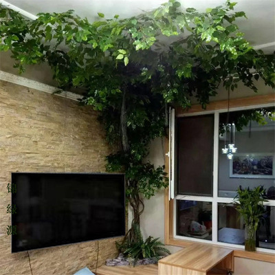 吊顶室内造型工程假树叶杆遮挡仿真榕树叶树枝植物墙水管藤条装饰