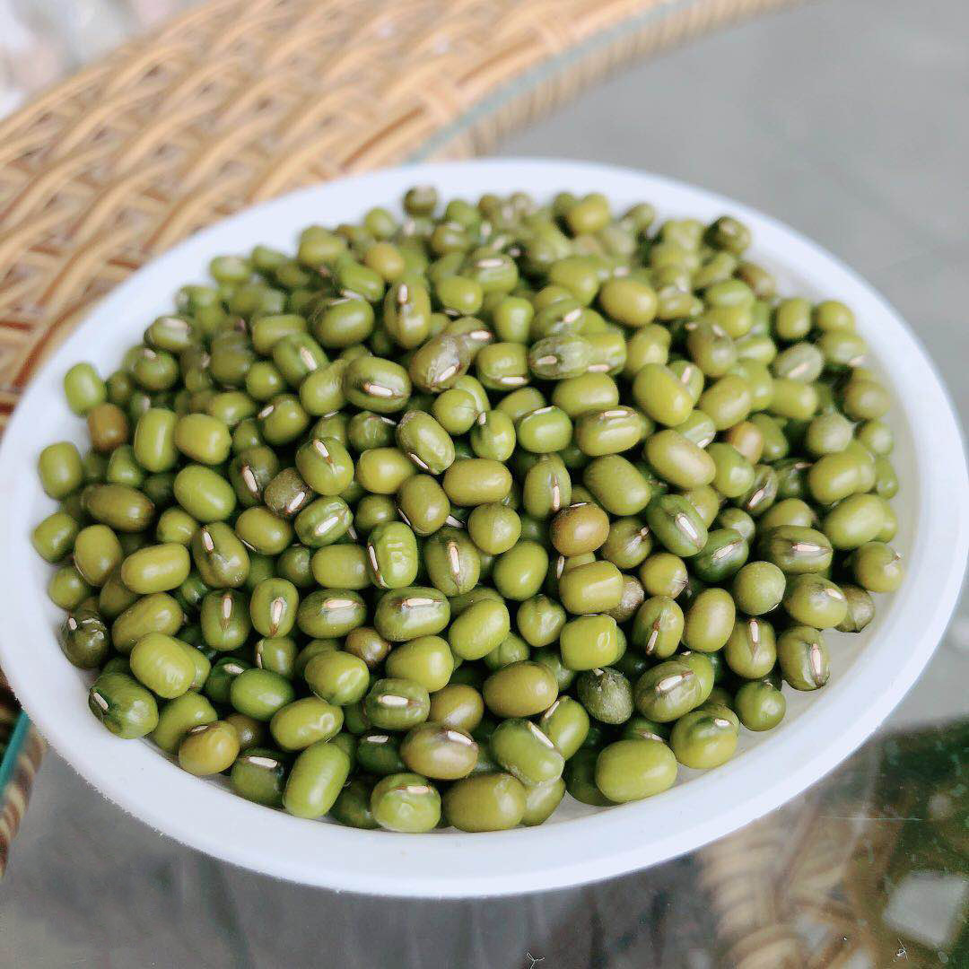 产地直销油绿豆缅甸大产区绿豆绿豆粥食品绿豆五谷杂粮绿豆毛杂豆